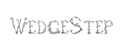 WedgeStep - logo